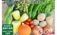 季節の旬野菜セット 6～10品種 詰め合わせ 産地直送   雲仙つむら農園   長崎県雲仙市