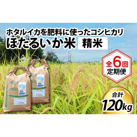 ふるさと納税 ほたるいか米（精米20kg）×6回 計120kg 富山県滑川市