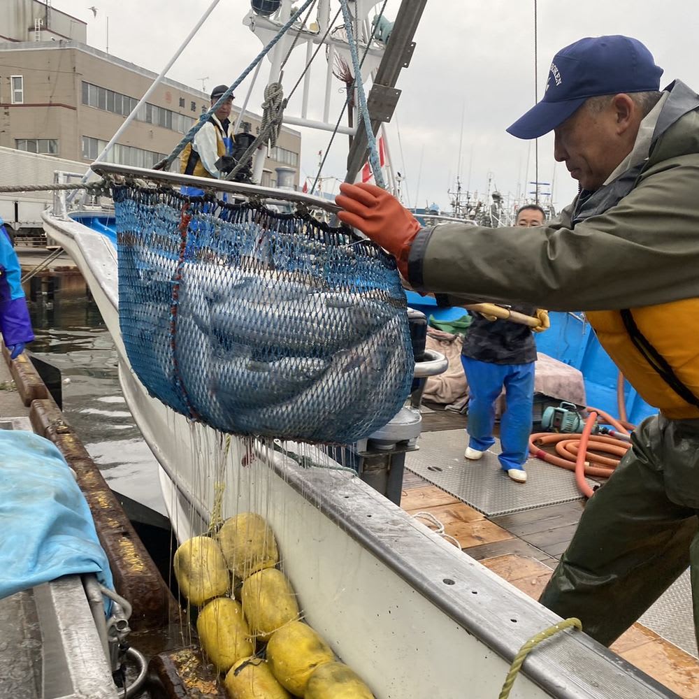 釧路笹谷商店厳選いくら醤油漬け 500g（250g×2パック）