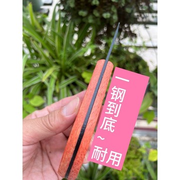 超值下殺 嚴選好物 實用園藝工具 新款嫁接工具 嫁接刀 接樹專用刀 果樹嫁接神器 芽接刀 木柄鋒利 果樹修剪工具 園藝工