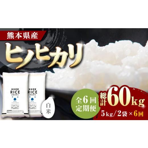 ふるさと納税 熊本県 山鹿市  ヒノヒカリ 白米 10kg 定期便 10kg 精米 特A ヒノヒカリ ひのひかり コメ 米…