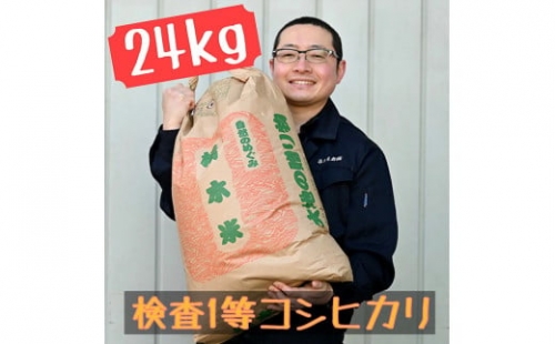 栃木県産 コシヒカリ 玄米24kg