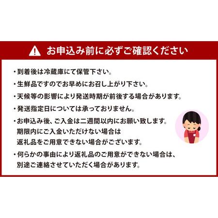 ふるさと納税  福岡県産 あまおう 計1kg (250g×4パック) 福岡県北九州市