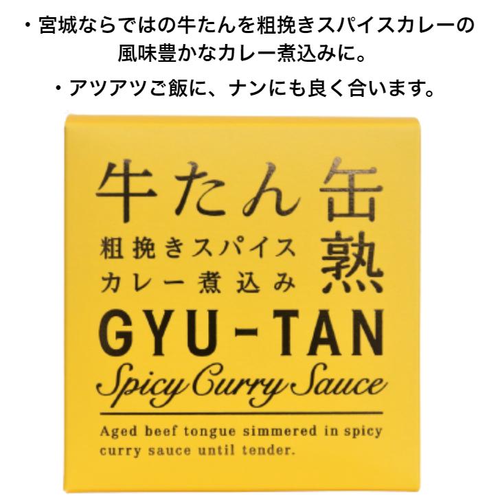 牛たん粗挽きスパイスカレー煮込み（170ｇ）6缶セット 木の屋石巻水産 牛たん 牛タン スパイスカレー カレー 牛たんカレー 缶詰 牛たん缶 牛たん缶詰 缶つま