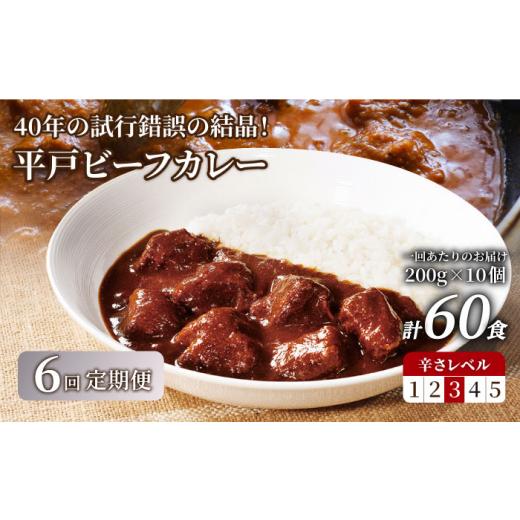 ふるさと納税 長崎県 平戸市 平戸ビーフカレー 計60食（10食×6回）「中辛」平戸市 ／ カレー工房 NVfoods [KAB191]