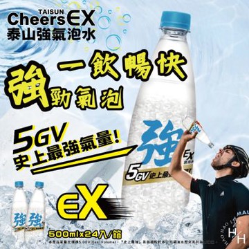 【泰山】強氣泡水 (500mlx24入/箱)