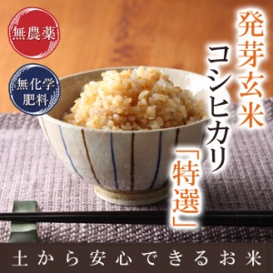 発芽玄米 無農薬・無化学肥料 コシヒカリ「特選」 2kg 送料無料 福井県令和5年産 特別栽培米