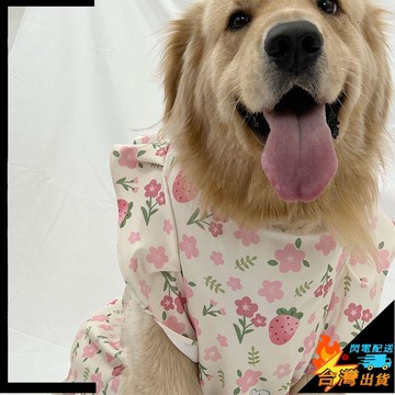 【台灣出貨】寵物服飾  春夏狗狗衣服 寵物狗 大型犬 金毛 拉布拉多 大狗薩摩耶中型邊牧薄款潮牌服飾