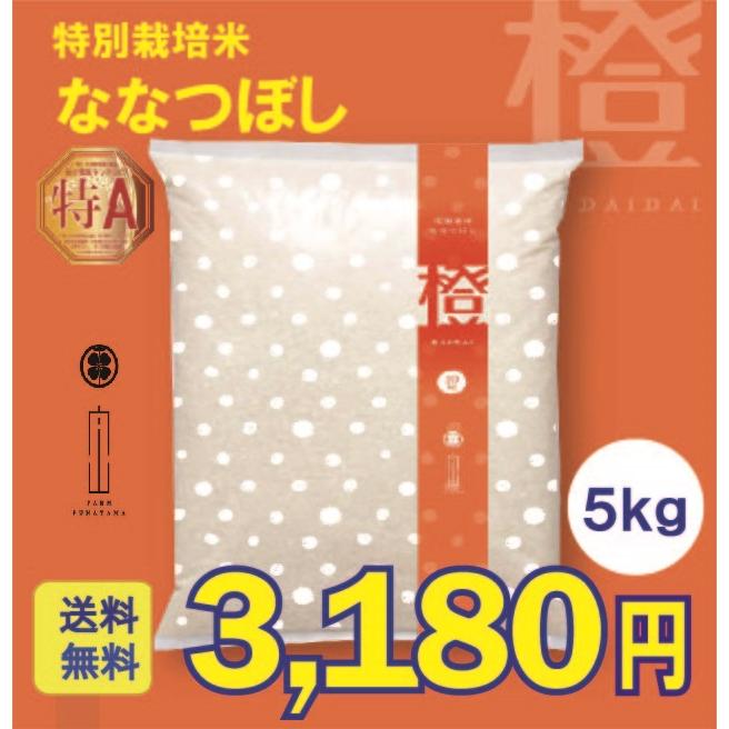 新米　ななつぼし　5kg　特別栽培米　令和5年産　北海道産　農家直送　農家直売