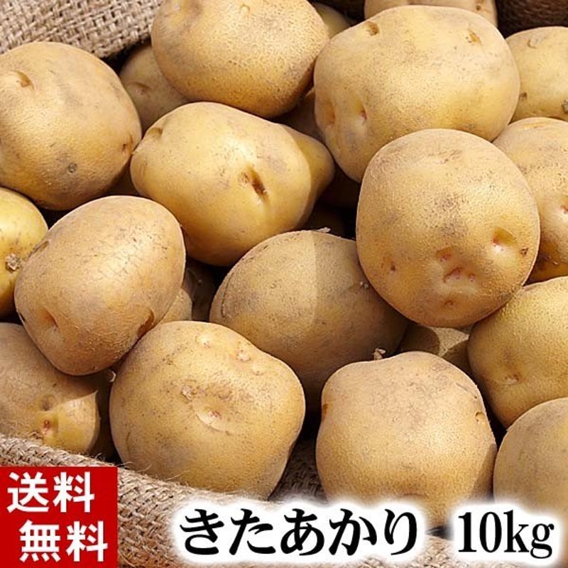 送料無料)じゃがいも きたあかり 10kg(新じゃが・芋・栗ジャガ・キタアカリ) 北海道産のジャガイモ、北あかりです。 グルメお取り寄せ 通販  LINEポイント最大0.5%GET | LINEショッピング