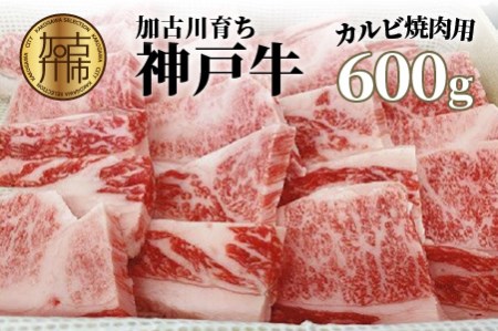 神戸牛（加古川育ち）カルビ焼肉用(600g)