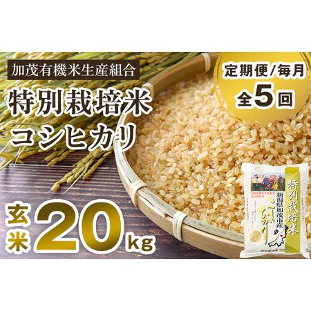 ふるさと納税 新潟県加茂市産 特別栽培米コシヒカリ 玄米20kg（5kg×4）従来品種コシヒカリ 加茂有機米生産組合 .. 新潟県加茂市