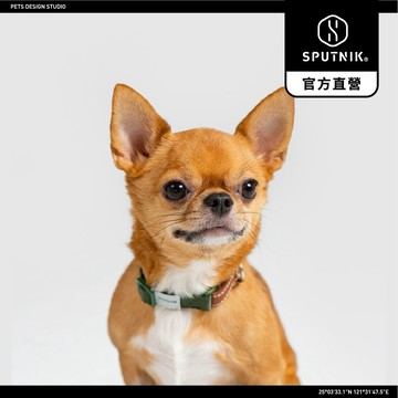 SPUTNIK｜頸圈 - 綠 (S)