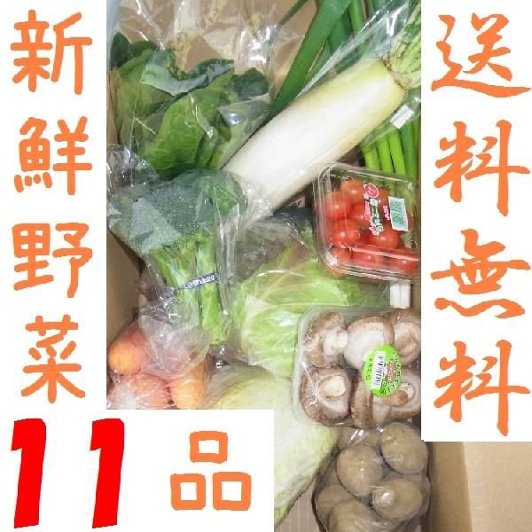 山口・九州産　『新鮮野菜の詰め合わせ１１種類』（小松菜・白ねぎ・なす・きゅうり・玉ねぎ他）