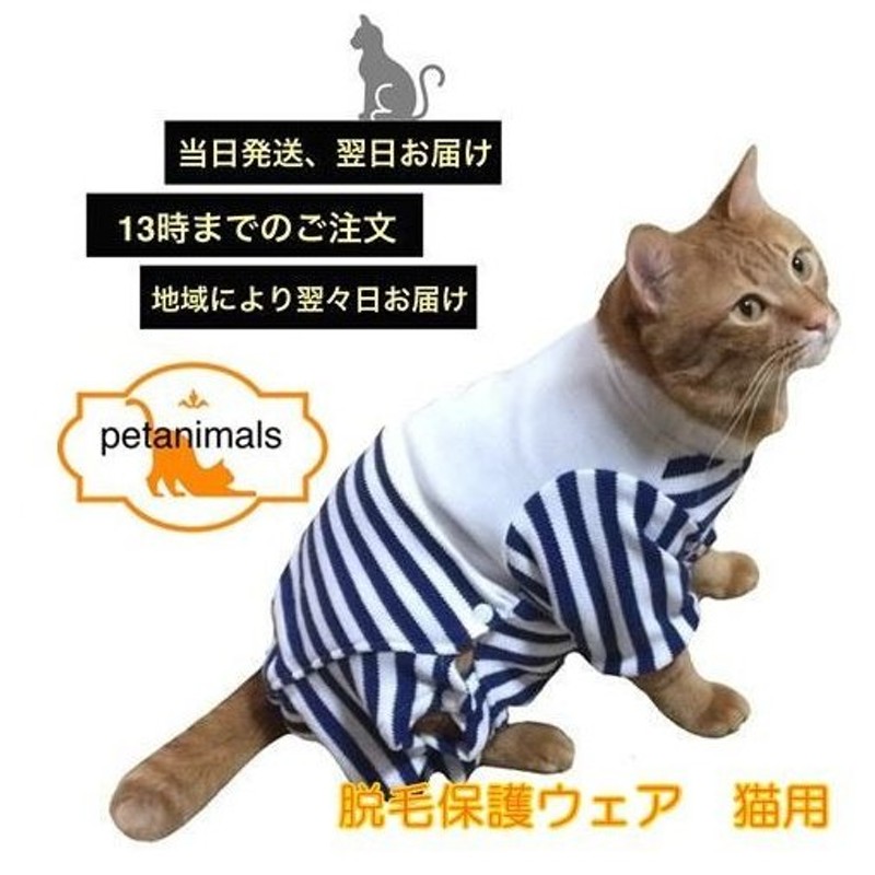 市場 猫専用術後服 生理期 去勢 避妊 ねこ 離乳期 手術後 怪我 猫 脱毛保護 ネコキャット術後服術後着術後ウェア