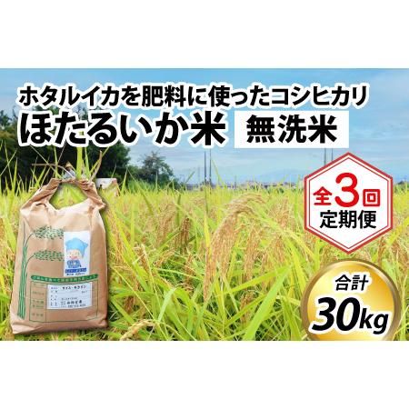 ふるさと納税 ほたるいか米（無洗米10kg）×3回 計30kg 富山県滑川市