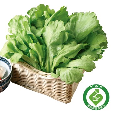 履歷茼蒿(每袋約250g±10%)