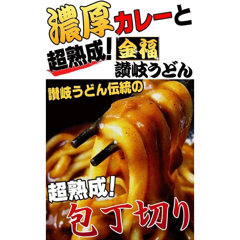 小松屋 麺BOX 特選 業務用 濃厚 カレーうどん ８人用 讃岐うどん 細麺