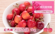 2024年発送令和6年産 フルーツ王国余市産 紅秀峰 Lサイズ 500g×2パック 1kg ニトリ観光果樹園 さくらんぼ フルーツ デザート 果物 旬 期間限定 北海道 余市町 グルメ 冷蔵 お取り寄せ 送料無料