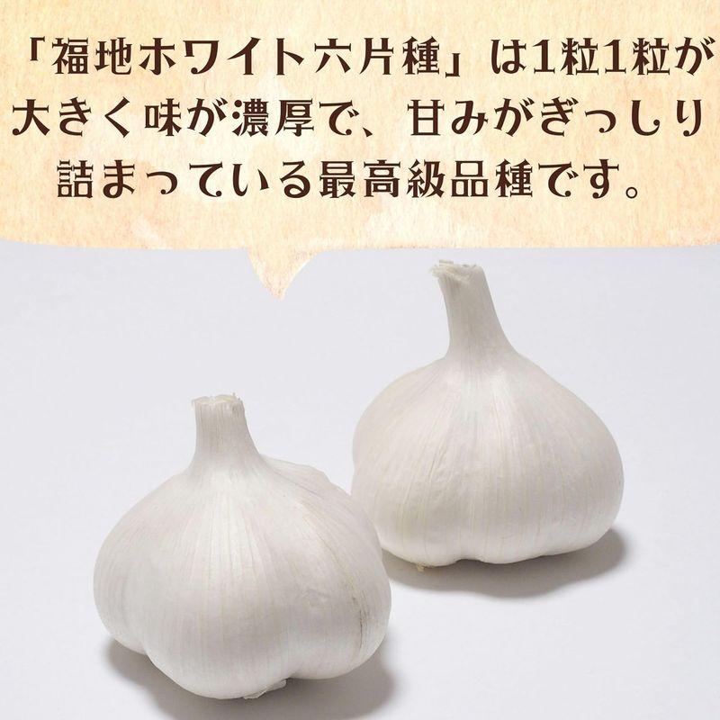 柿の木坂マルシェ にんにく 令和5年産 新物 福地ホワイト六片 青森県産 A品 得級品 Mサイズ 2kg 国産