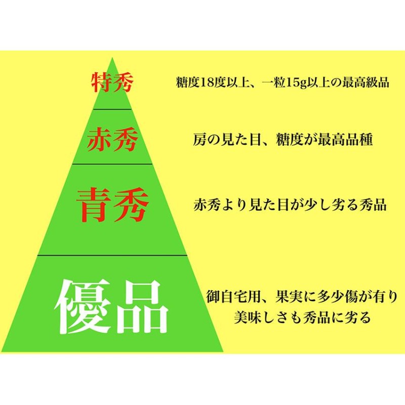 御中元 シャインマスカット ピオーネ 岡山 晴王 赤秀 400ｇ×２ 高級 の