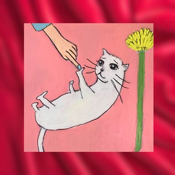 原圖 貓是用可愛的東西做的 和貓一起玩