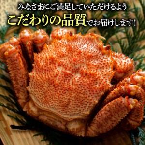 ふるさと納税 130018 前浜ゆで毛がに 姿(約500〜550g×2尾)2〜4人前   北海道石狩市