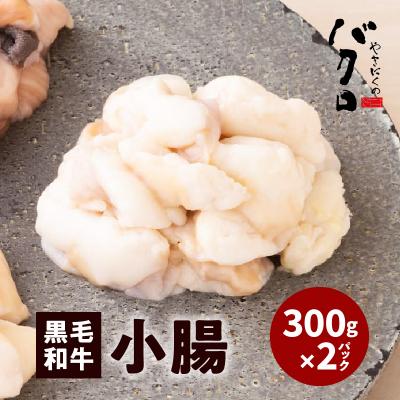 ふるさと納税 鹿児島市 黒毛和牛小腸300g入り×2パック