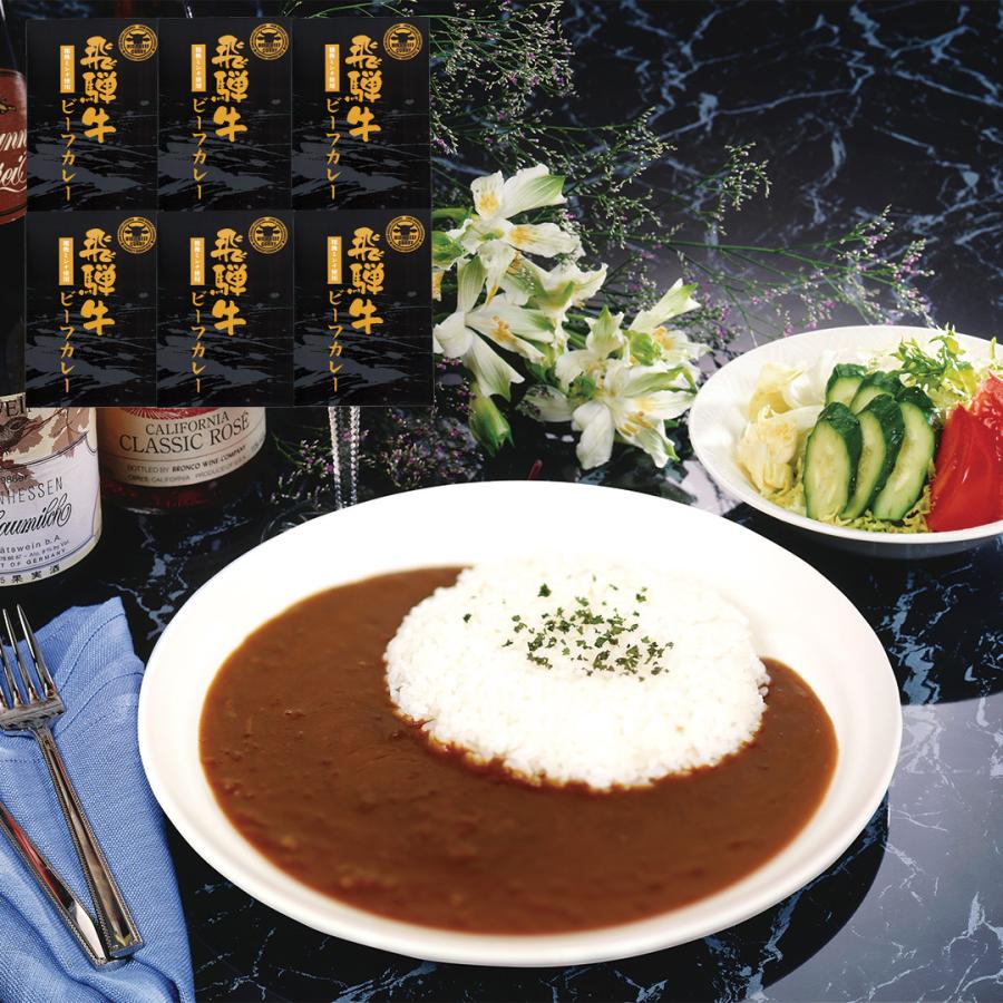 岐阜 飛騨牛 粗挽きミンチカレー 6食 180g×6 