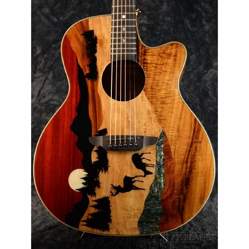 Tokai tf120 アコギ　ジャンク Tokai Guitars Japan | eBay