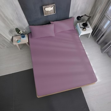 Ishur 伊舒爾 銀離子防水枕套 100% Polyester極柔網眼透氣 3M吸濕排汗技術 Advanta專利防水透氣科技薄膜  76 x 46cm  紫色  2個