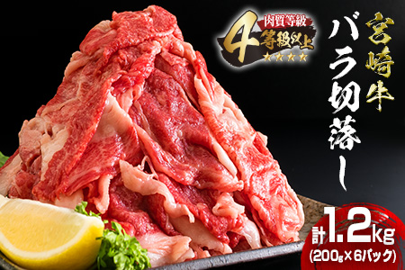 数量限定≪肉質等級4等級以上≫宮崎牛バラ切り落とし(計1.2kg)　肉　牛　牛肉 CD44-23