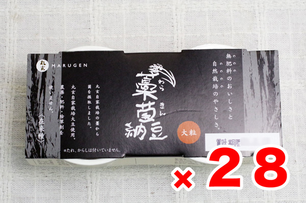 藁菌（わらきん）納豆35g×2カップ×28個