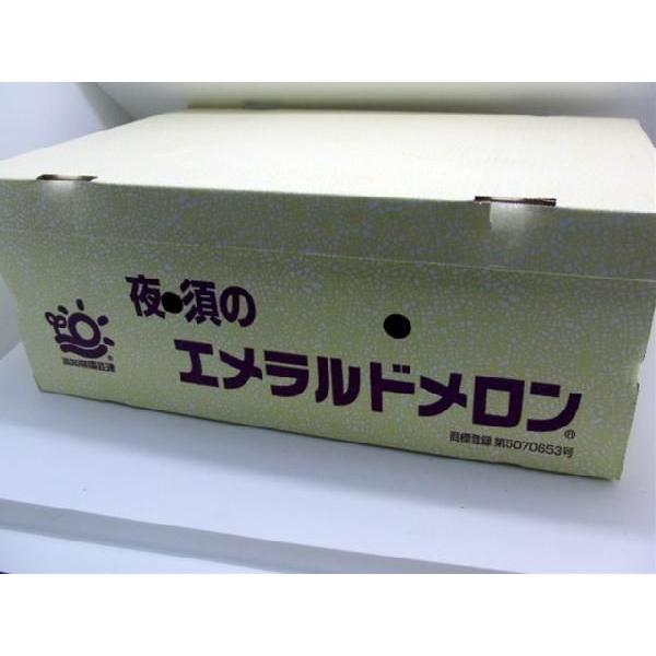 メロン 高知県夜須産 ”エメラルドメロン” 大玉 5〜6玉 約9kg以上 送料無料