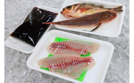 プロが選んだ！魚屋の鮮魚詰め合わせセット（刺身用１種と塩焼・煮付用下処理済各１匹づつ）日本海・能生漁港直送！