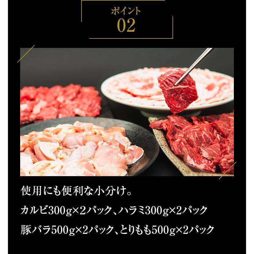 バーベキューセット 12-16人盛 BBQ 焼肉セット カルビ ハラミ 豚バラ とりもも 3.2kg 送料無料 食品 牛肉 メガ盛り 焼き肉 焼肉用 お肉 肉