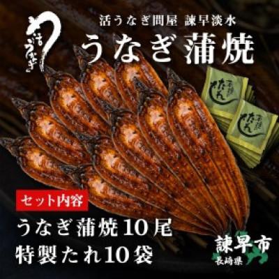 ふるさと納税 諫早市  うなぎ蒲焼10尾