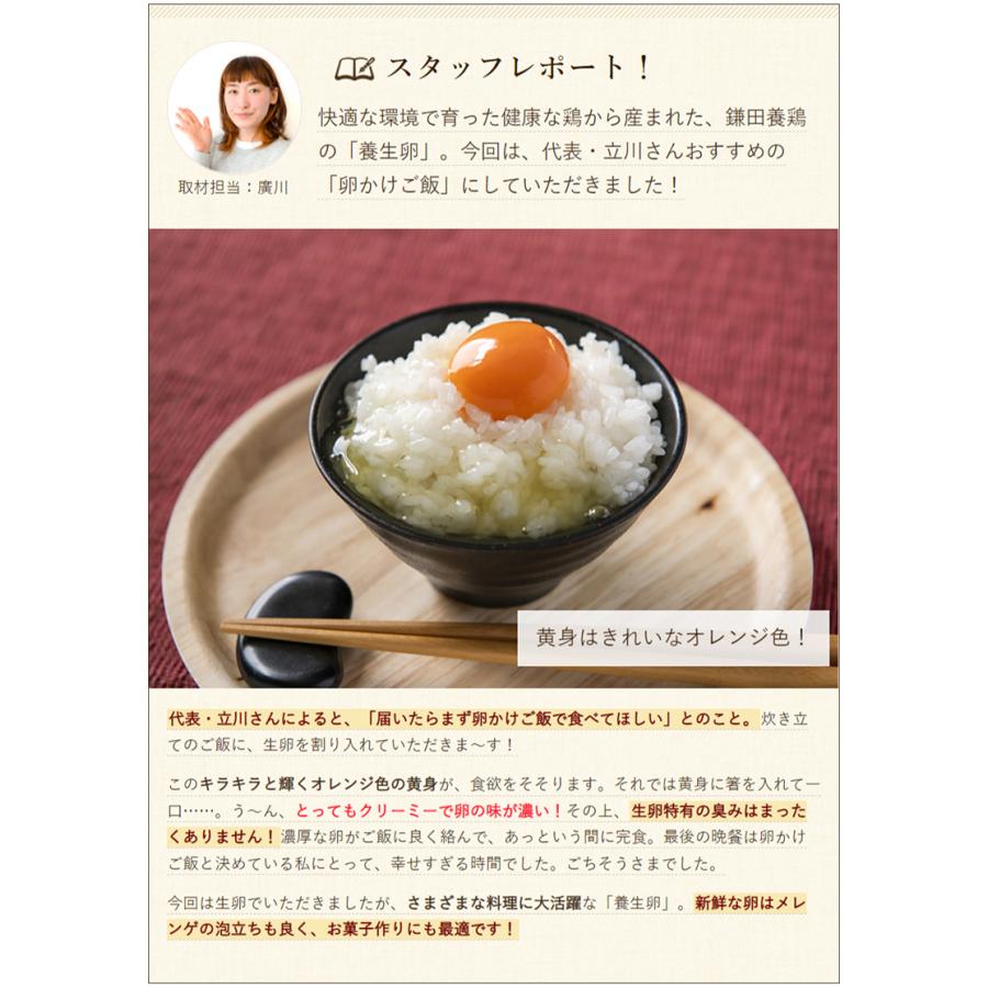 鎌田養生卵 Lサイズ 60個入り 鎌田養鶏 たまご畑 送料無料