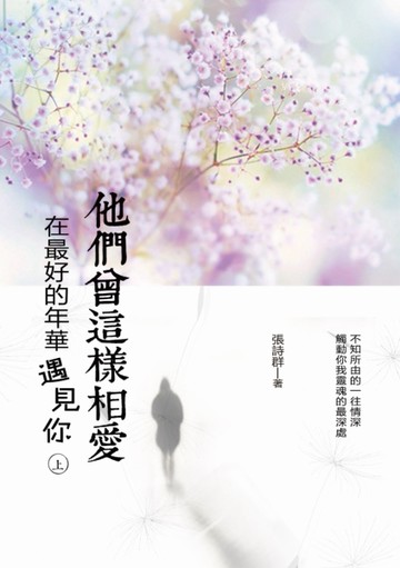 他們曾這樣相愛：在最好的年華遇見你（上）[二手書_普通]