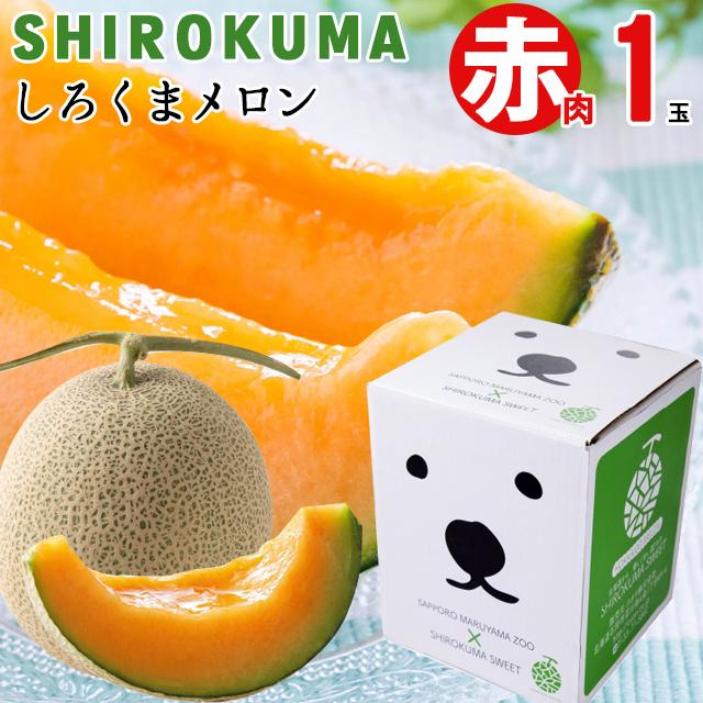 2024年 予約 メロン お中元 ギフト 送料無料 SHIROKUMA SWEET 北海道産 赤肉メロン 1玉入(約1.6kg 大玉 Lサイズ)   フルーツ