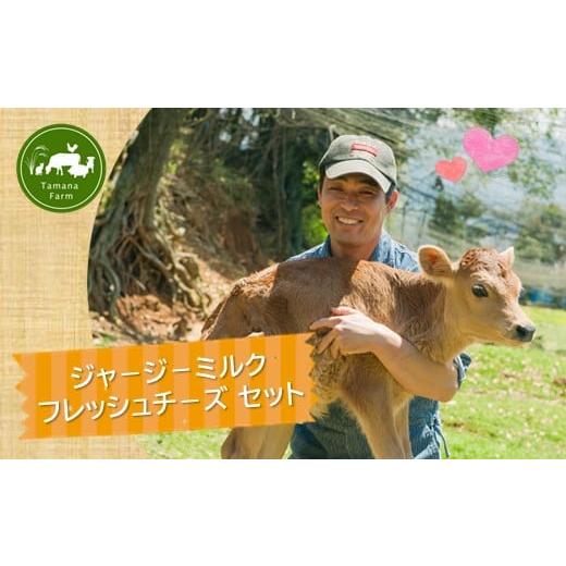 ふるさと納税 熊本県 玉名市 『玉名牧場』ジャージーミルクとフレッシュチーズセット