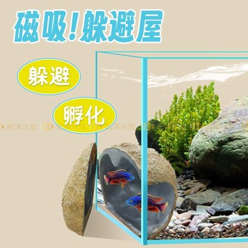 宏洋【可觀察👀磁吸躲避屋】魚蝦躲藏+孵化屋 孵化盒 繁殖盒 繁殖甕 孵化器 魚〞躲避洞 蝦屋 魚類繁殖  螯蝦 魚缸裝飾