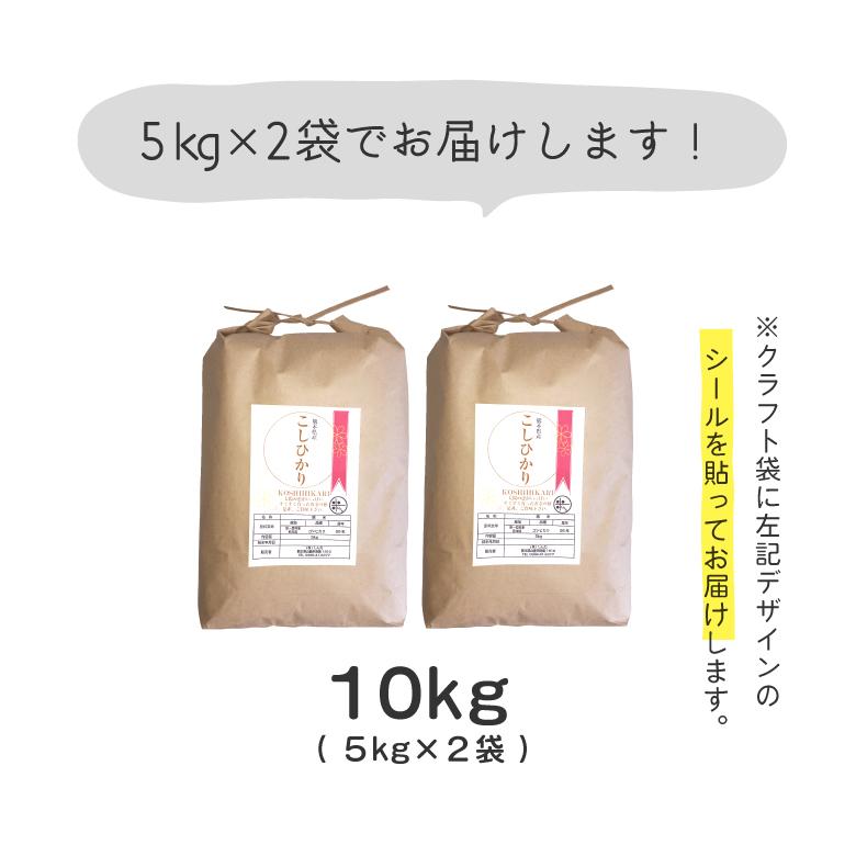 新米 米 お米 10kg 送料無料 コシヒカリ 熊本県産 令和5年産 白米10kg こしひかり 5kg×2袋 贈答用 ギフト