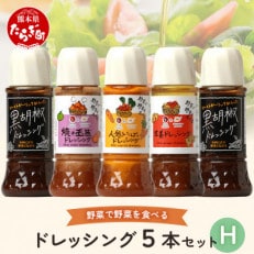 ドレッシング　5本セットH