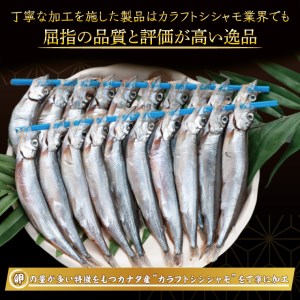 子持ちカラフトシシャモ産地食べ比べセット４０尾（２０尾×２箱） シシャモ ししゃも カラフトししゃも 大洗 カナダ産 アイスランド産_AV014