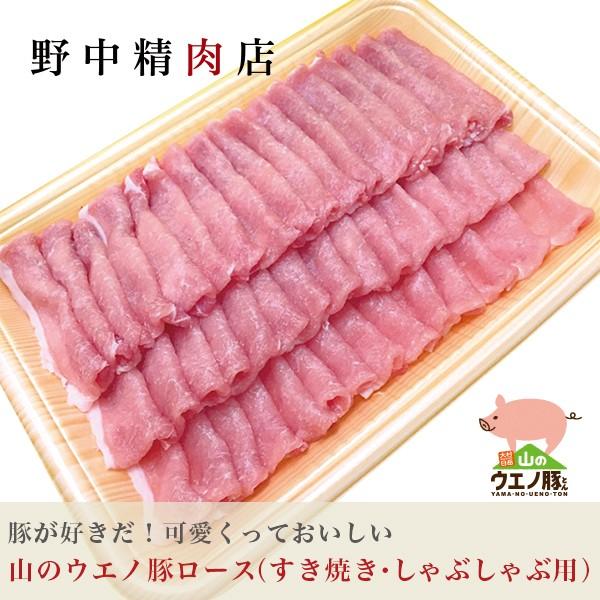 豚肉 豚ロース すき焼き・しゃぶしゃぶ用 山のウエノ豚 700g（8〜10人分）