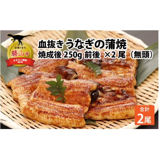 ふるさと納税 福井県 勝山市 血抜きうなぎの蒲焼（無頭）焼成後250g前後×2尾 国産 [B-044001]