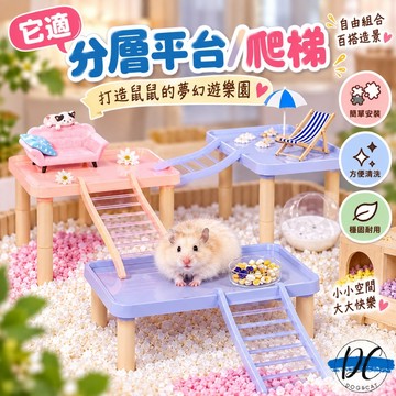 【DC寵物有發票】🐾它適 Tafit 分層平台&爬梯 多功能平台 倉鼠爬梯 倉鼠平台 糖果色平台 倉鼠造景用品 B097