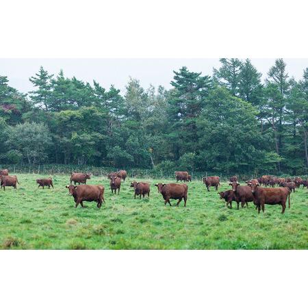 ふるさと納税 国産飼料100％ 短角和牛 スライス肉 (内モモ) 200g 岩手県二戸市