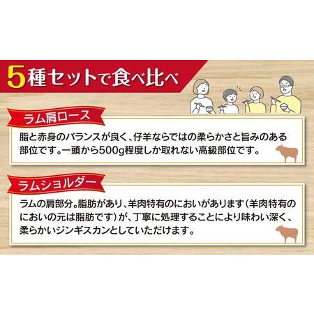 ふるさと納税 日乃出ジンギスカン食べ比べ5種セット 【 羊肉 焼肉 肉 焼き肉 小分け 焼肉用 焼肉セット ラム マトン ロース 肩ロース .. 北海道旭川市